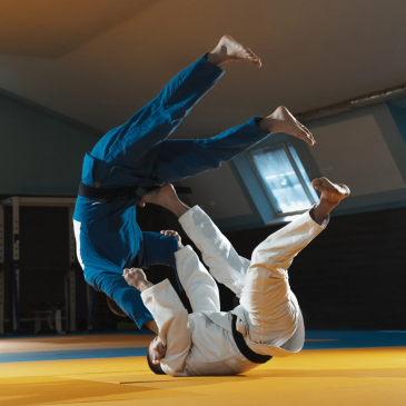 BJJ: Brazilian Jiu-Jitsu Rules, Techniques and Training