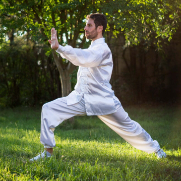 Tai Chi Techniques, Forms, Training and Martial Arts Principles